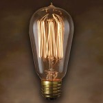 1910 Vintage Light Bulb