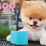 Boo: Life of the Dog Book