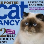 Cat Fancy Magazine
