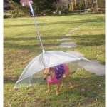 Dog Umbrella