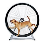 Dog Exercise Wheel