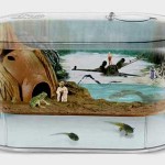Dagobah Frog Habitat