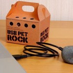 USB Pet Rock