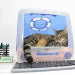 iMac Cat Bed