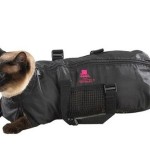 Cat Bag