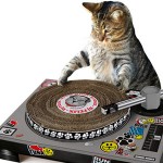 DJ Cat Scratch Turntable