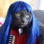 Cat Wig