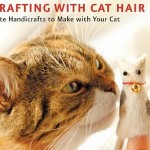 Crafting with Cat Hair