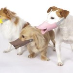 Dog Duck Muzzle