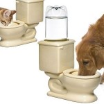 Pet Toilet Dish