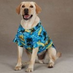 Dog Hawaiian Shirt