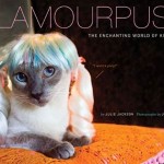 Cat Wig Book