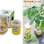 Grow Your Own Edamame