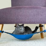 Cat Hammock