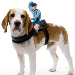 Mailman Dog Rider