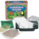 Homemade Chewing Gum