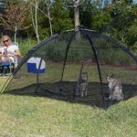 Outdoor Cat Enclosure