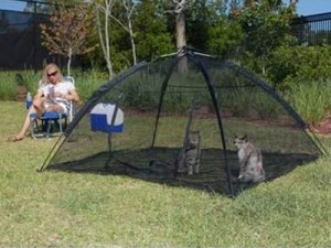 outdoor-cat-enclosure outdoor-cat-enclosure