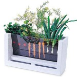 Root View Farm