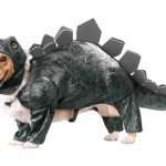Stegosaurus Dog Costume