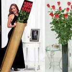 World's Tallest Roses
