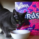 Largest Box of Nerds