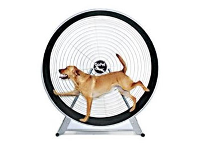 Dog Wheel