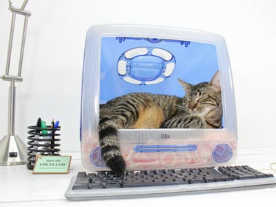 Apple Computer Cat Bed