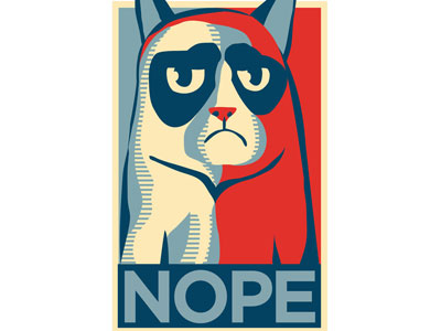 Grumpy Cat NOPE Poster