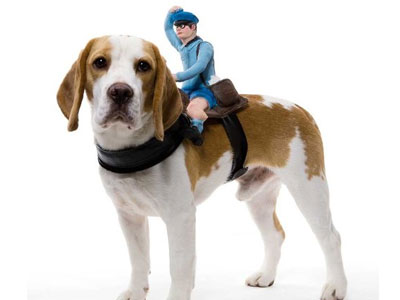 Mailman Dog Rider Costume